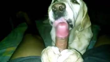 Pale canine eagerly satisfying this guy's cock in point-of-view