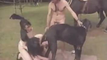 Aroused ladies screwing a well-hung ebony canine in the great outdoors