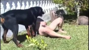 Latina wife gets rear-ended by her dark dog during an outdoor screw