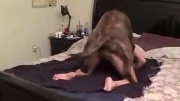 Dog fucks woman in the pussy for a complete doggy-style scene