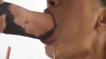 Naughty vixen presses an ejaculating stallion shaft to her lips