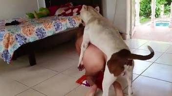 Golden mask Latina getting fucked by a white doggo