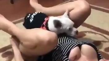 Hot mommy with a wet hole fucks a tiny doggo