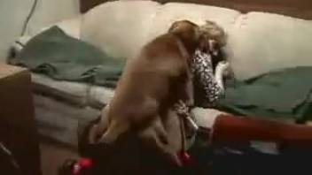 Hot woman has her dripping pussy pounded by a monster