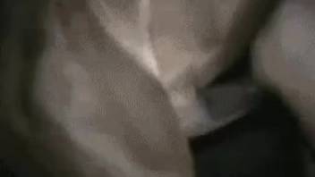 Pulsating equine shaft nearly destroys that orifice permanently