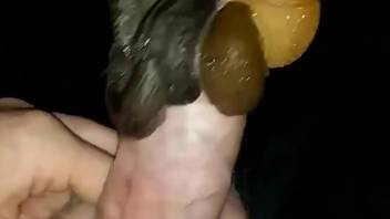 Dude's cock is getting pleasured by his loyal snails