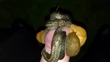 Guy's dick is being satisfied by his faithful snails