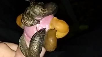 Guy's stiff dick being satisfied by three snails