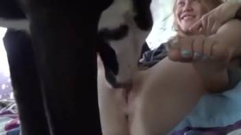 Blonde babe allows that mutt to lick her snatch