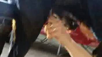 Stunning session of intense animal sex with a canine