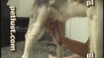 Guy with a hot goatee getting ready for a deep throat blowjob