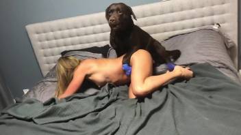 Tight booty blonde getting screwed by a doggo