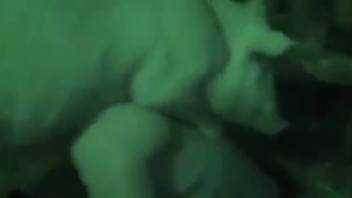 Dark-haired woman with a snug opening has sex with a beast