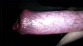 Dog's dick getting the satisfaction it truly merits