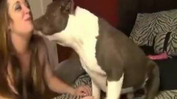 Brown-haired beauty enjoying violent dog fucking