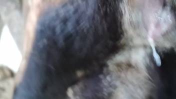 Detailed footage showcasing an extremely sexy creature