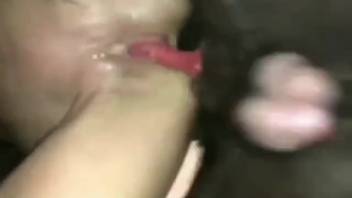 Hard dog dick wrecking a MILF's wet pussy