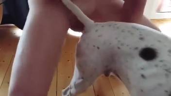 Guy thrusts his massive erection into a canine's snug aperture