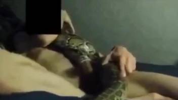 Dude fucking an actual snake in front of the camera