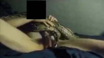 Guy screwing a genuine serpent right on camera