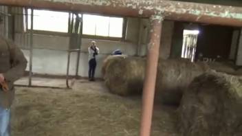 Alluring woman displaying remarkable agility while engaging in equine intercourse