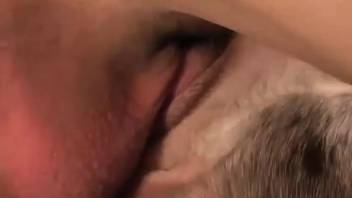 Bearded stud pounding that beast's narrow opening