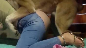Ripped jeans hottie getting tongued by a sexy dog