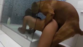 Masked Latina gets her pussy tenderized by a dog
