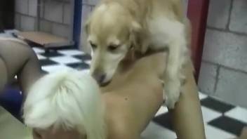 Skinny blonde and a horny  GF both fuck a sexy dog
