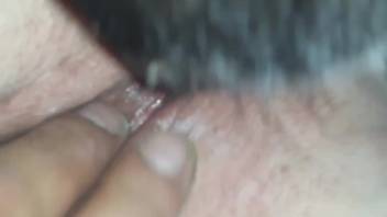 Curvy vixen has her moist orifice pounded by a canine