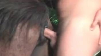 Brave dude with a stunning cock is happy to fuck a horse