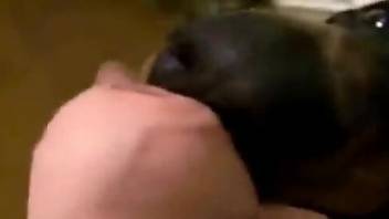 Compilation of the hottest dogs that stroke cocks in POV