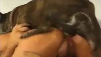 Canine penetrates female in the rear while she mounts her spouse