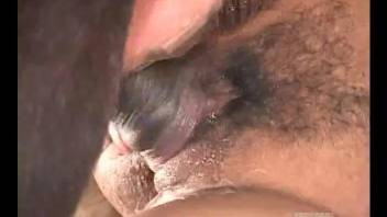 Brutal horse porn along a very tight blonde