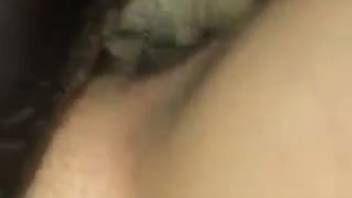 Mature woman records herself as her shaggy canine licks and penetrates her