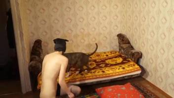 Sexy masked vixen in ebony stockings screws a canine