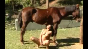 Attractive stallion screwing a dark-haired woman's cunt in the open air