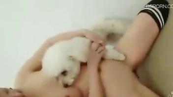 Asian schoolgirl lets a dog lick her pussy BIG TIME