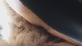 Hairy booty dude getting fucked by a horny dog