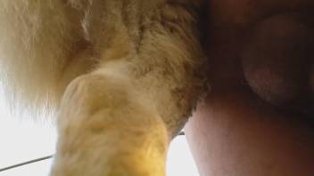 Naked man leaves horny animal butt fuck him on cam