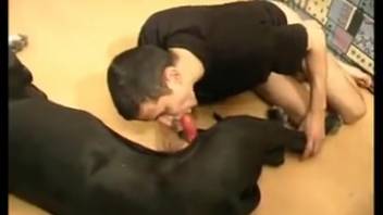 Filthy dude gargling on a ebony canine's fine dick
