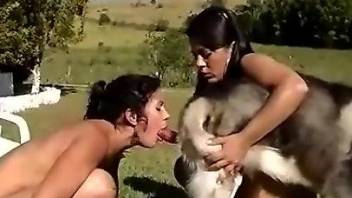 Brunette women worship the same dog penis outdoors