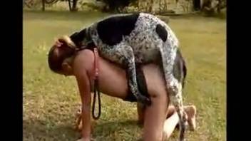 Homemade beastiality clips featuring super sexy ladies