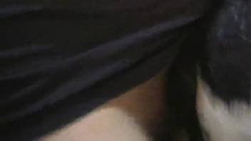 Guy's uncircumcised dick penetrates a beast's moist opening