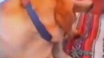 Alluring woman exposes her genitals and has sex with a filthy canine