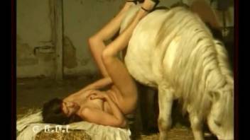 Crazy scenes with a babe sucking on a horse's cock