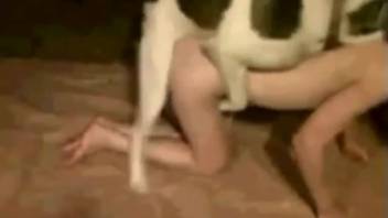 Excited woman lounges naked and savors the dog thrusting into her forcefully