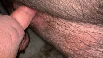 Guy's impressive dick enters a beast's passion pit