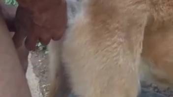 Handsome guy with a impressive dick screwing a filthy creature