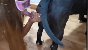 Disguised girl demonstrating her blowjob talents and getting fucked